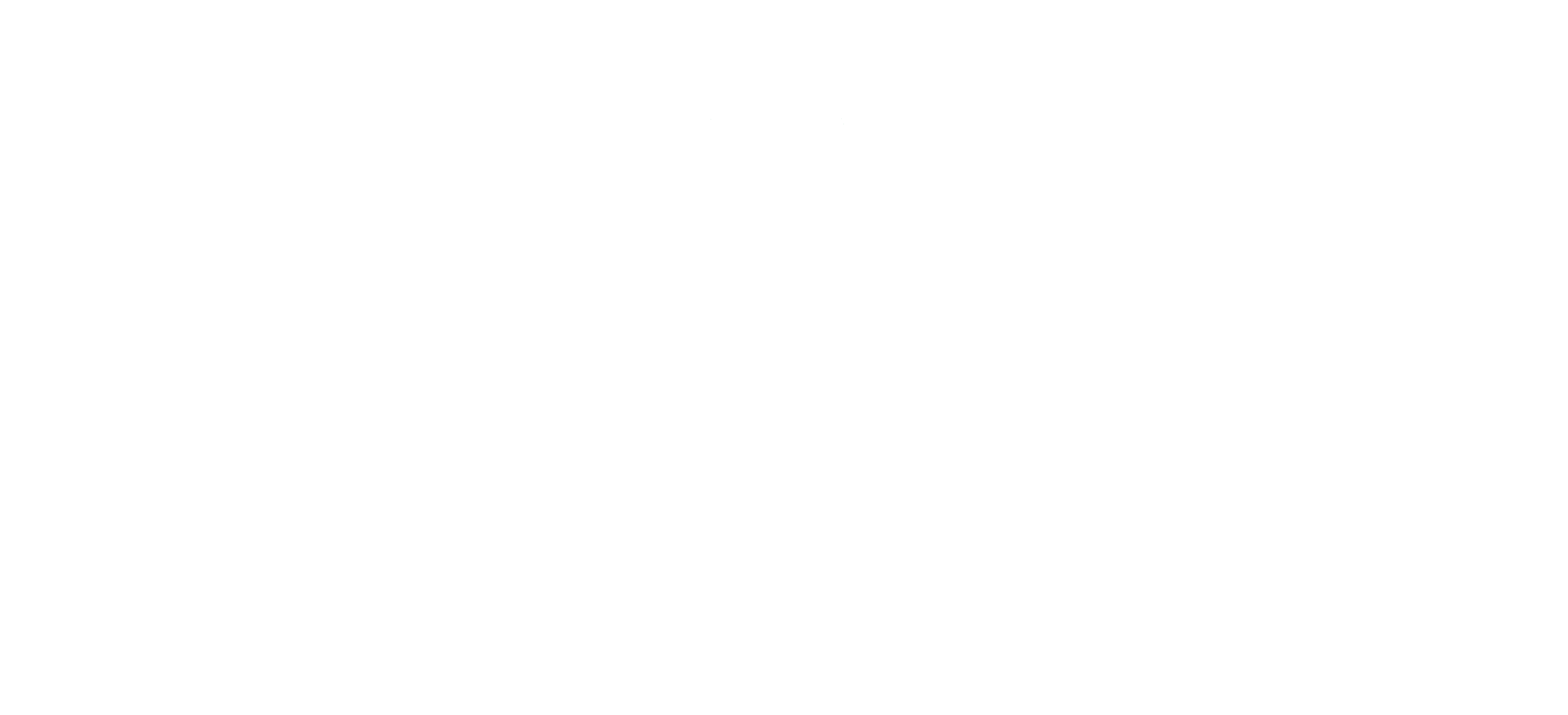 Cornelis Vrolijk
